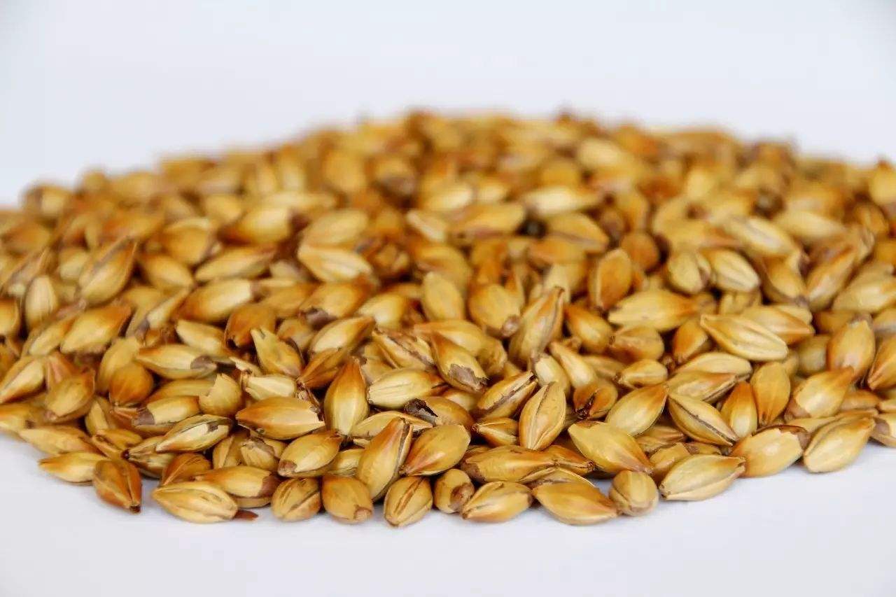 做精釀啤酒，如何選擇合適的粉碎機(jī)？