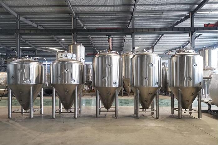 主發(fā)酵過程中有哪些關鍵要素？