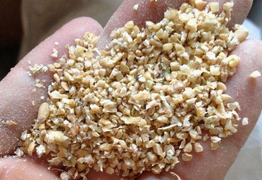 做精釀啤酒，如何更好地進(jìn)行麥芽粉碎呢？