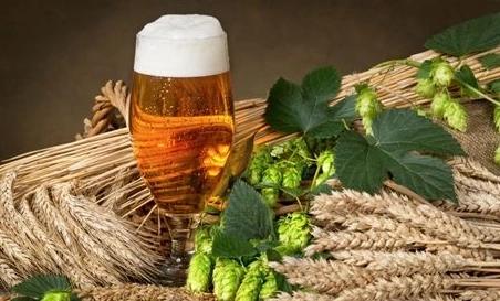 精釀啤酒中，如何選擇恰當(dāng)?shù)慕湻椒ǎ?> </a>
    </dt> 
    <dd> 
     <h4><a href=